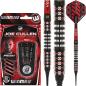 Preview: Winmau Joe Cullen Igniation Details