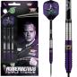Preview: Bull's Dirk van Duijvenbode Steeldarts Details