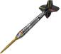 Preview: Precise180 Ricardo Pietreczko Steeldarts Details