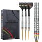 Preview: Precise180 Ricardo Pietreczko Steeldarts Details