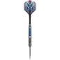 Preview: Shot Viking Raven Steeldarts Barrel