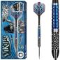 Preview: Shot Viking Raven Steeldarts Details