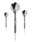 Preview: Target Beau Greaves GEN1 Steeldarts Details