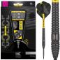 Preview: Target Bolide Void 03 Swiss Point Steeldarts Details