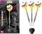 Preview: Target Gabriel Clemens G2 Swisspoint Steeldarts Details