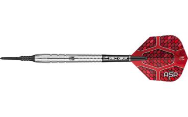 Target Nathan Aspinall GEN 1Softdarts Barrel