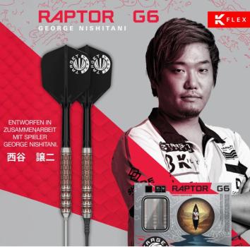 Target Japan Mikuru Suzuki The Miracle GEN6 Steeldarts Verpackung