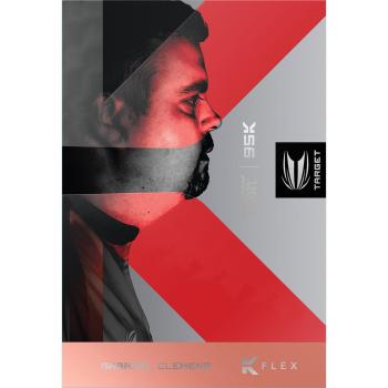 Target Gabriel Clemens 95K 95% Swiss Steeldarts Verpackung