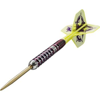 Target Luke Littler World Champion Steeldarts Barrel