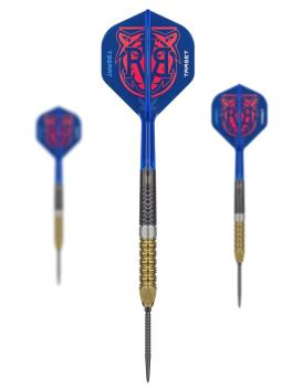 Target Raymond Van Barneveld GEN6 Steeldarts Übersicht