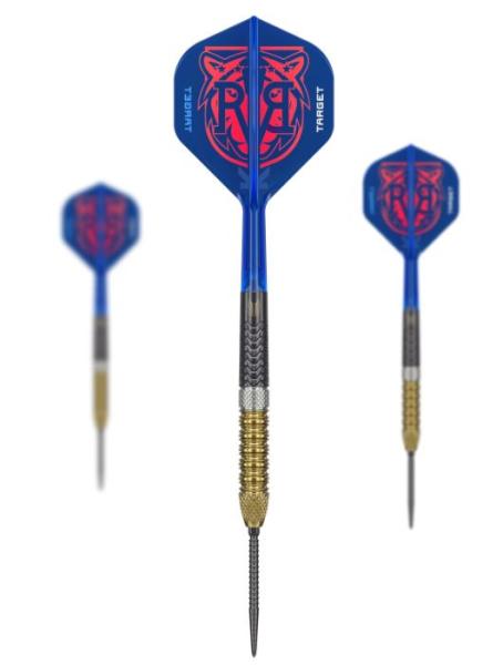 Target Raymond Van Barneveld GEN6 Steeldarts Übersicht